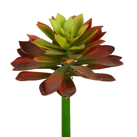 Dare2Decor 20 in. Red & Green Succulent Stem DA3264508